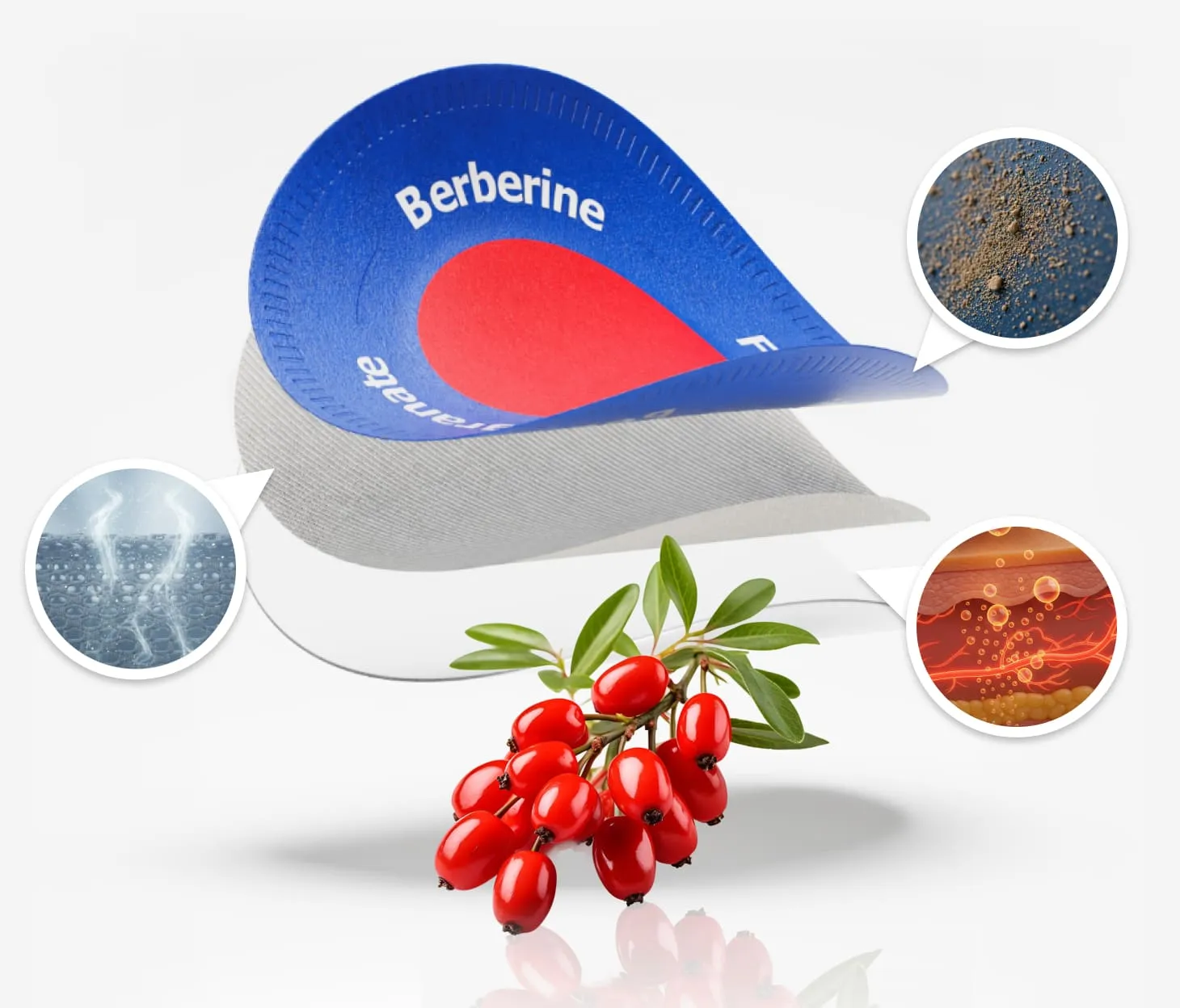 Purisaki Berberine Patches — transdermal botanical wellness patch