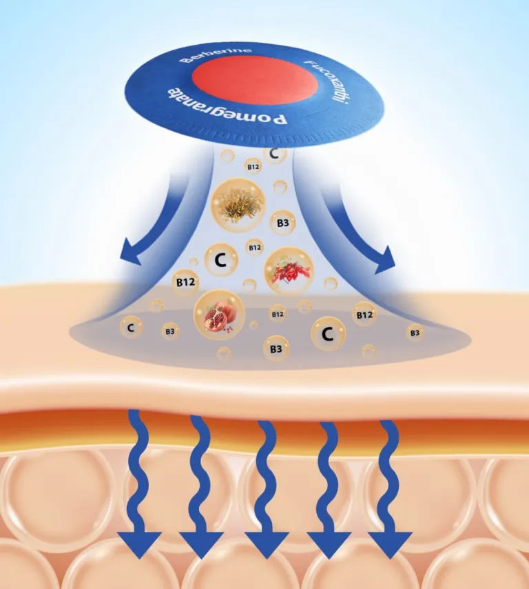 Purisaki Berberine Patches how it works